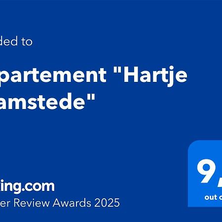 Appartement "Hartje Haamstede" Burgh-Haamstede Zewnętrze zdjęcie